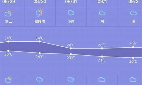 山东省未来15天天气预报查询_山东最近一