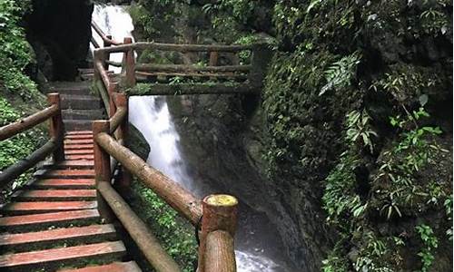 青城山攻略_青城山后山攻略