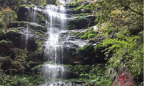 雅安碧峰峡天气怎么样_雅安碧峰峡天气