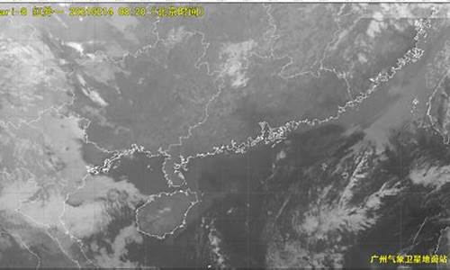 遂平县天气预报_遂平县天气预报7天