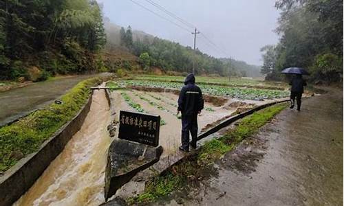 福建泰宁十五日天气预报_福建泰宁县天气